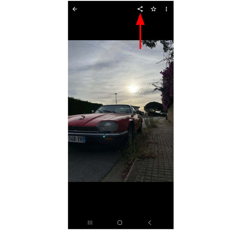 Google のファイル共有