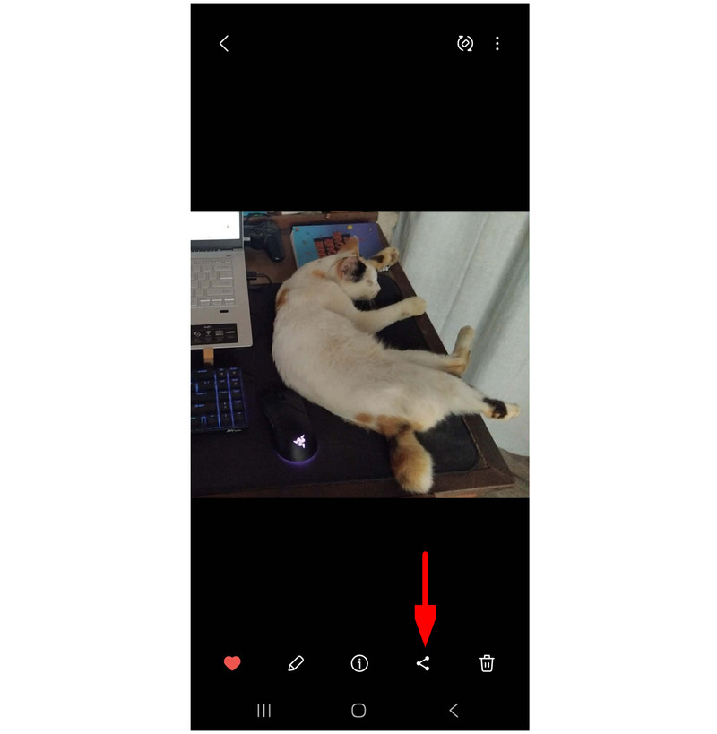 Googleフォト共有ボタン