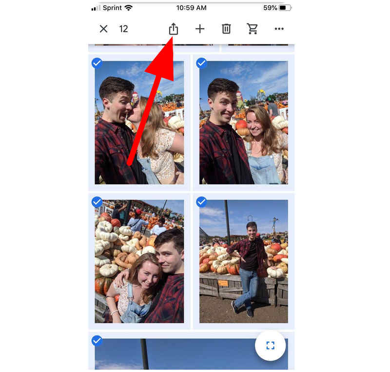 Przycisk udostępniania w Zdjęciach Google