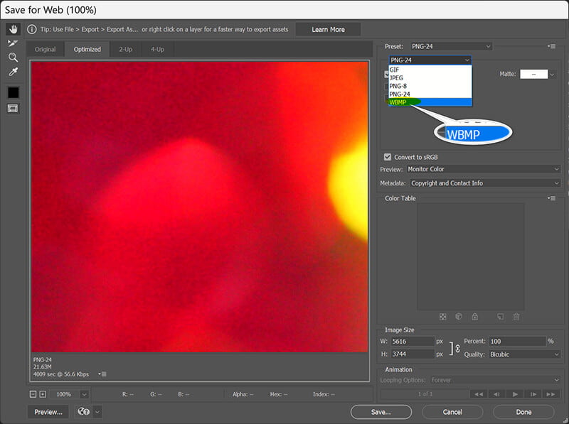 Photoshop 出力 Webp