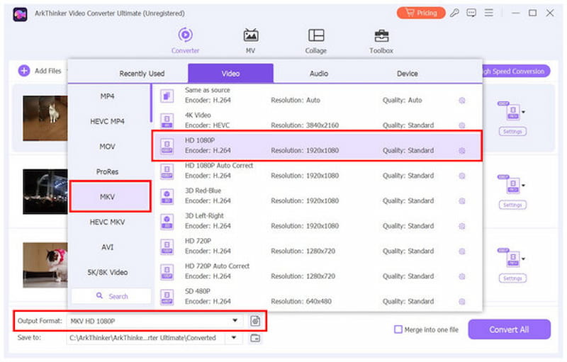 Arkthinker Video Converter Ultimate outputprofil