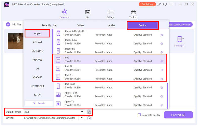 Arkthinker Video Converter Ultimate Output Format