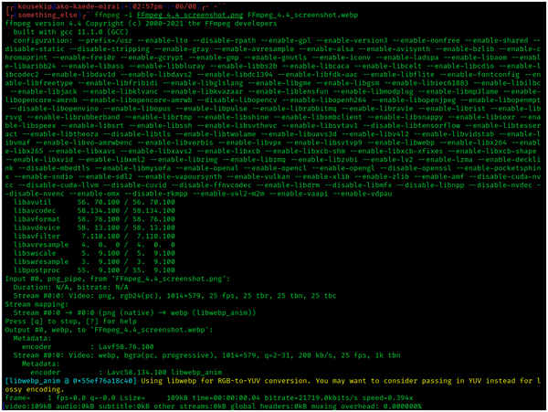 FFmpeg インターフェース
