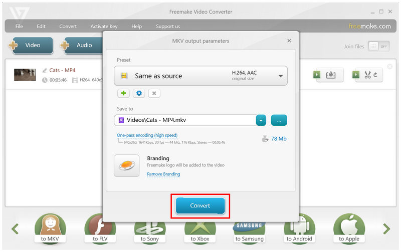 Freemake Convert Mkv