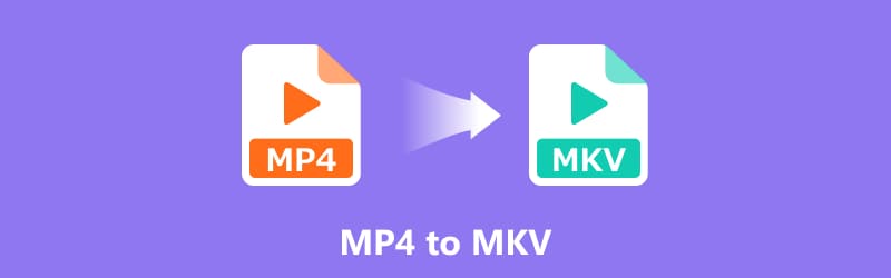 MP4 to MKV