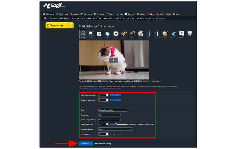 Configuración de Ezgif Convertir a GIF
