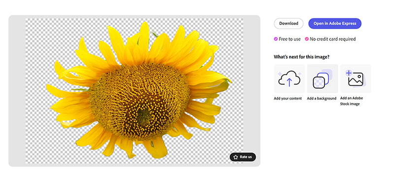 Lataa kuva Adobe Expressissä