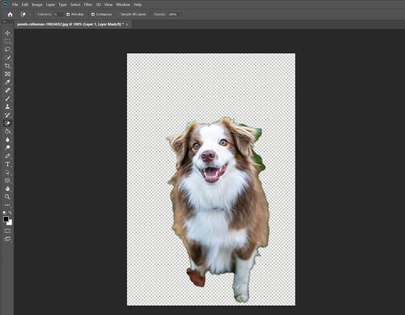 Taustan poistaminen Photoshopissa