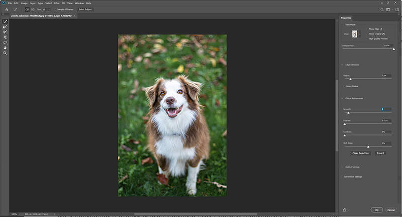 Reunan hienosäätösivellin