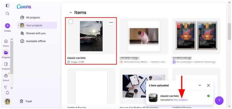 Canva Online: Seus Projetos