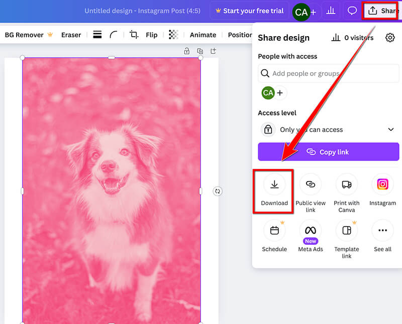 Canva Görseli İndir