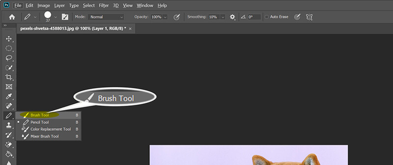 Photoshop-Pinselwerkzeug