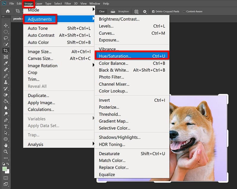 Photoshop Farbton-Sättigung