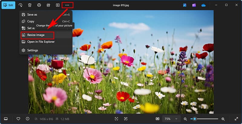 Option zur Bildgröße ändern Windows-Fotos