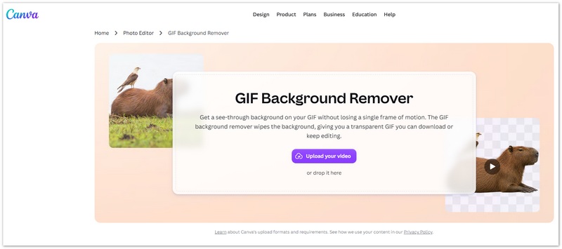 Strumento per la rimozione dello sfondo delle GIF di Canva