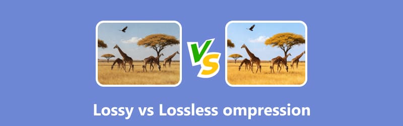 非可逆圧縮と可逆圧縮