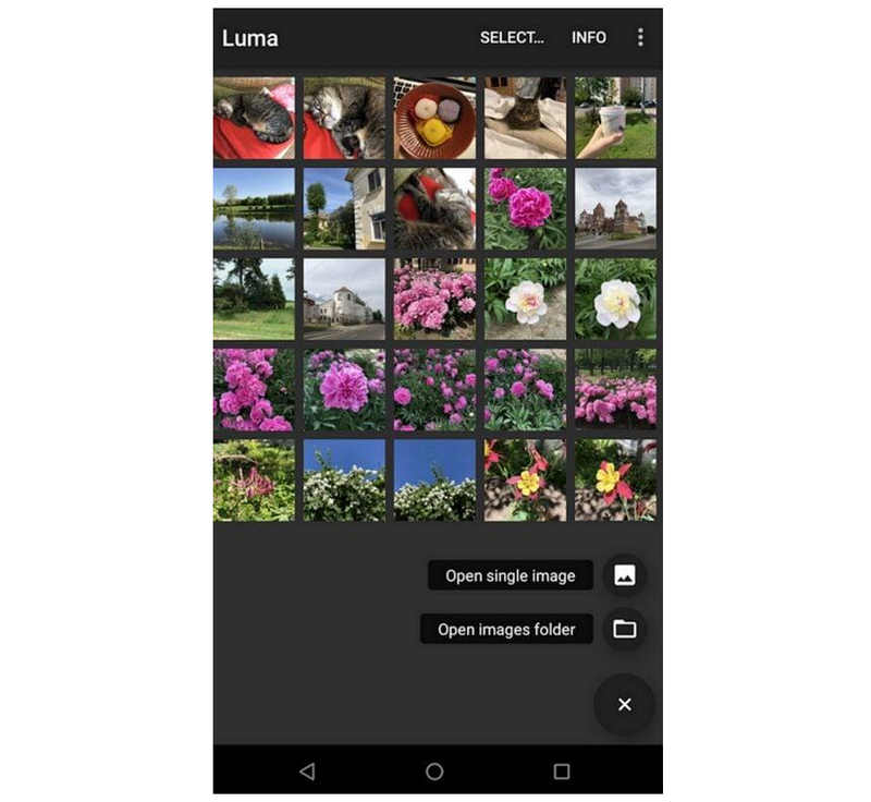 Conversor de Luma Heic para Jpg Abrir imagens
