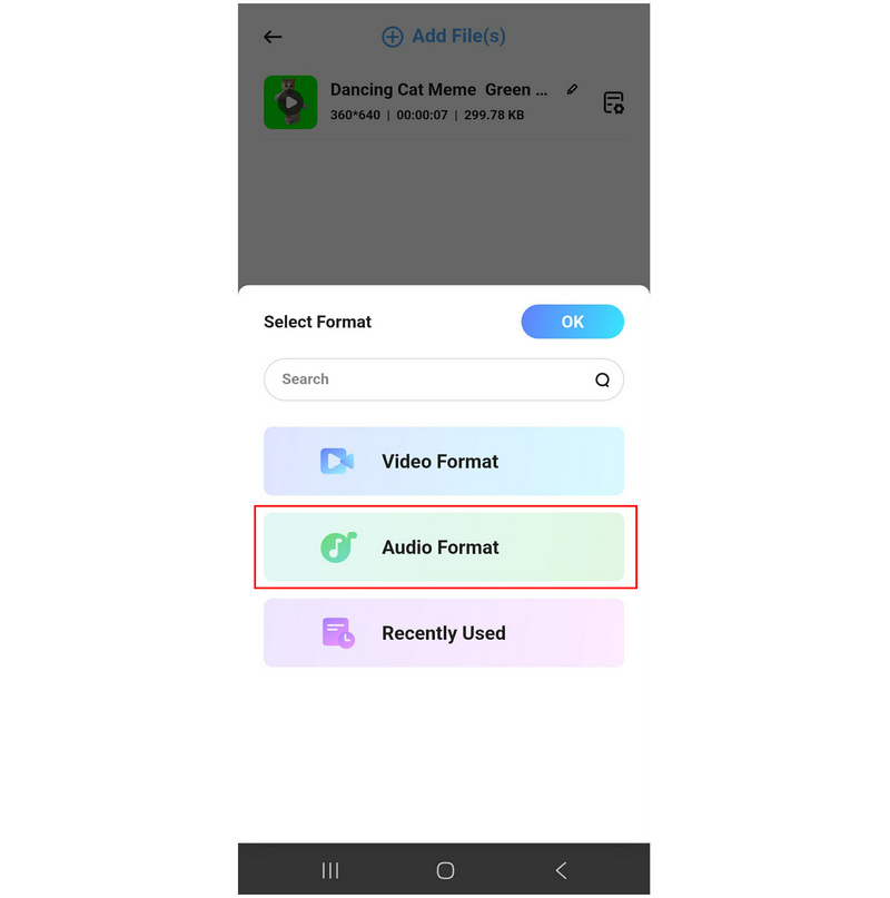 Аудіоформат Allvidconverter
