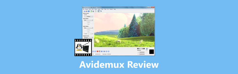 Avidemux-arvostelu