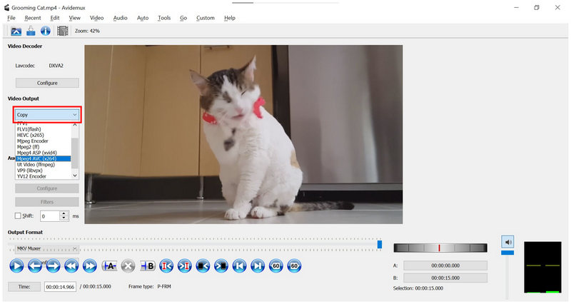 Avidemux-videolähtö MPEG4