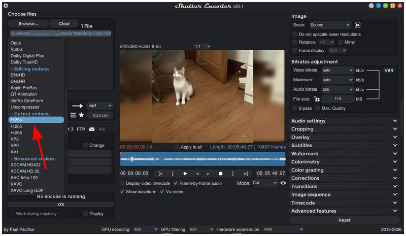Codificatore otturatore Scegli funzione