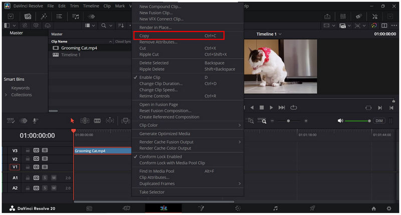 Davinci ResolvedCopiar Colar Clipe Copiar Vídeo