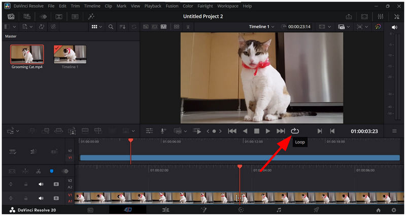 Botão Ativar reprodução em loop do DaVinci Resolve