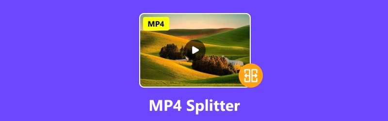 Rozdzielacz MP4