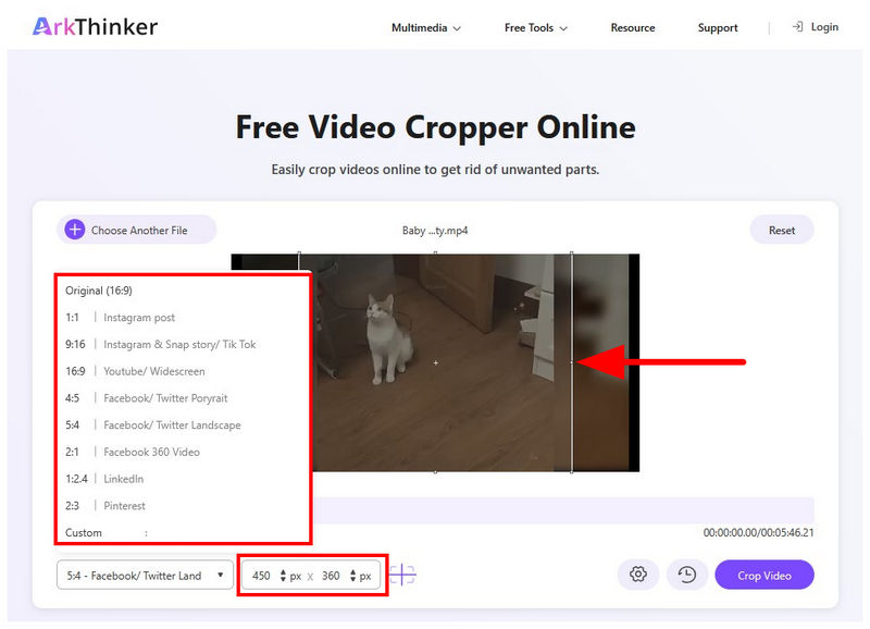 Arkthinker Gratis Videobeskärare Online Beskärningsalternativ