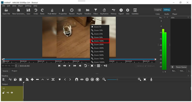 Shotcut Zoom 100