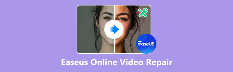 EaseUS Online Video Reparation