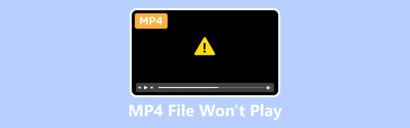 soubor-mp4-nejde-přehrát