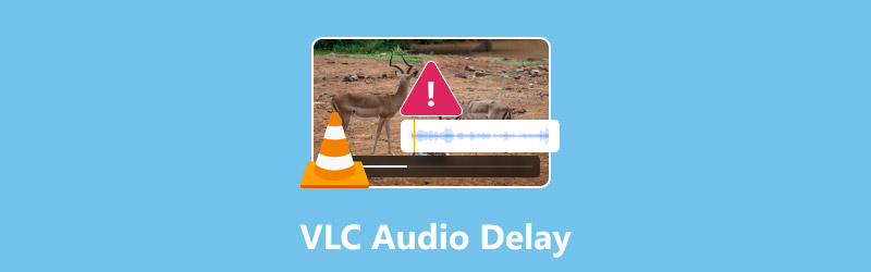VLC 오디오 지연