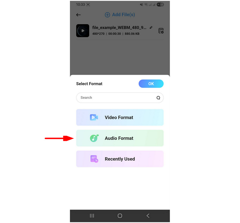 Аудіоформат AllVidConverter