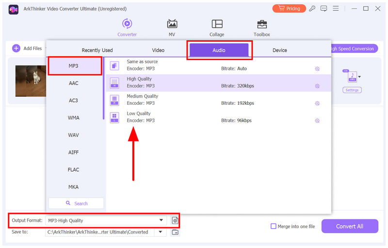 ArkThinker Video Converter Ultimate Вихідний формат MP3
