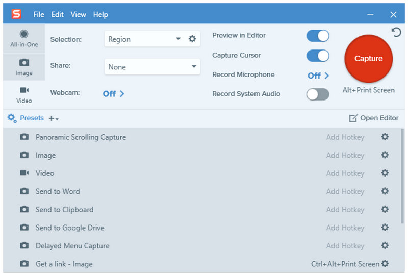 Snagit Inteface