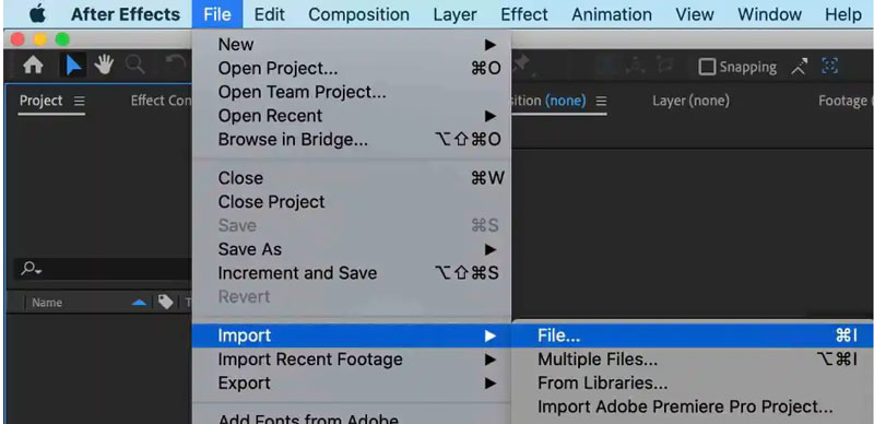 After Effects Import File