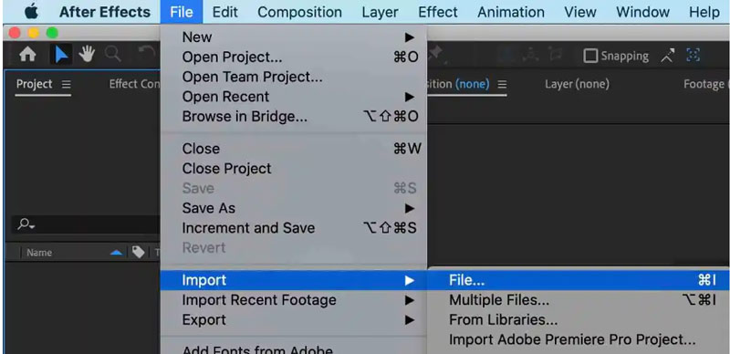 File di importazione di After Effects