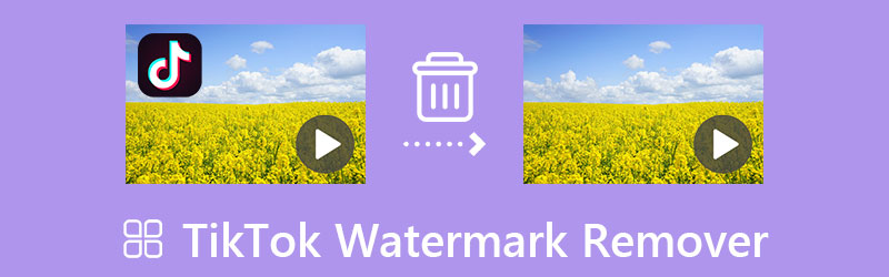 Best TikTok Watermark Removers