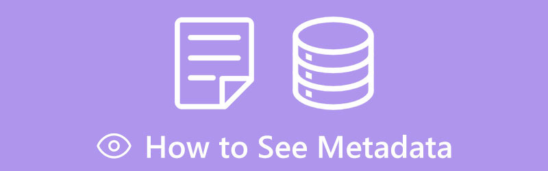 How to See Metadata