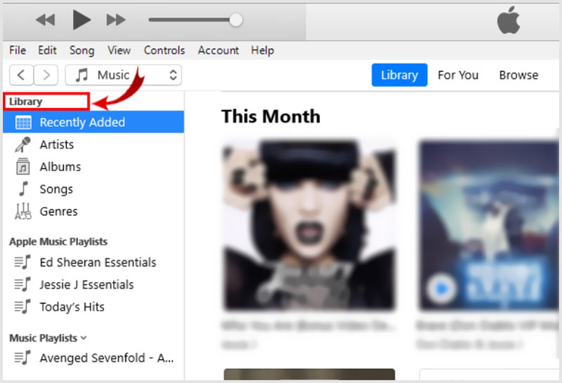 iTunes Music Library