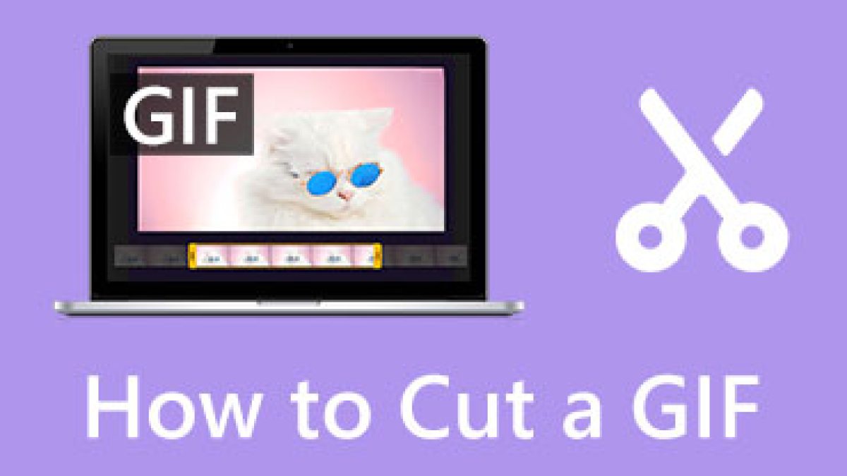 GIF Cutter - Cut, Trim, and Shorten GIFS Online