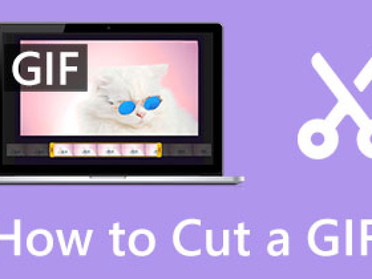 GIF Cutter: How to Cut GIF with Easy and Fast Methods