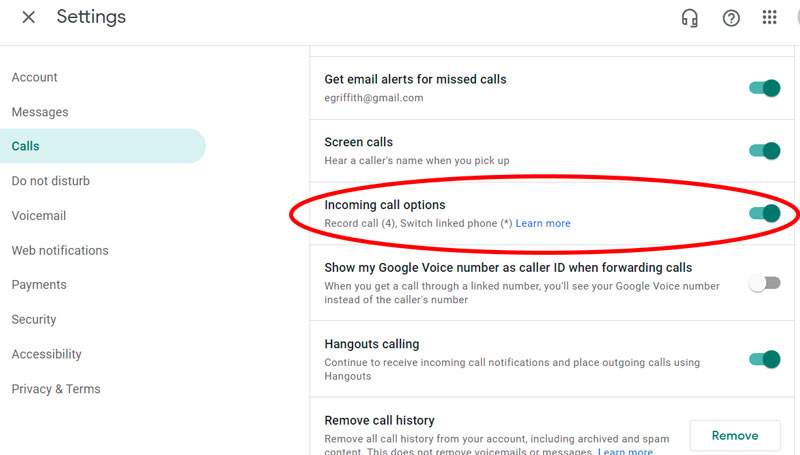 Attiva Opzioni chiamate in arrivo Google Voice