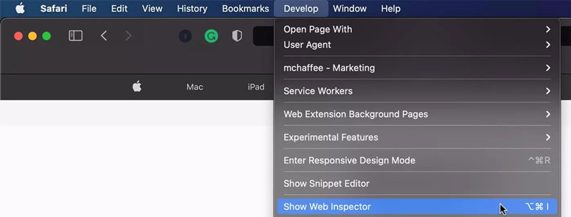 Mostrar inspector web