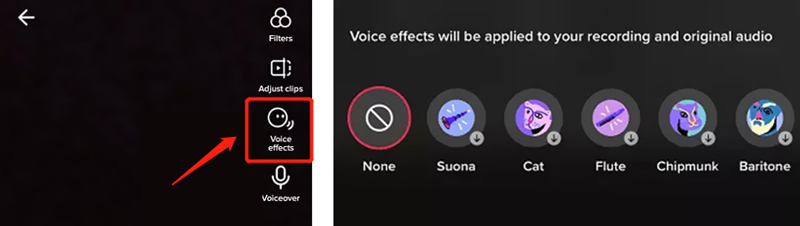 Change Voiceover on TikTok Voice Effects
