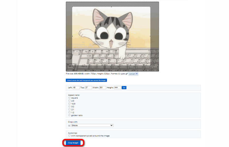 Crop the GIF