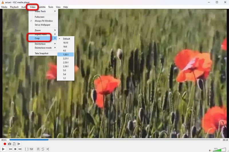 Crop Video VLC