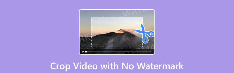 Video ohne Wasserzeichen zuschneiden