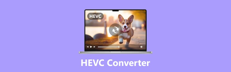 HEVC コンバーター